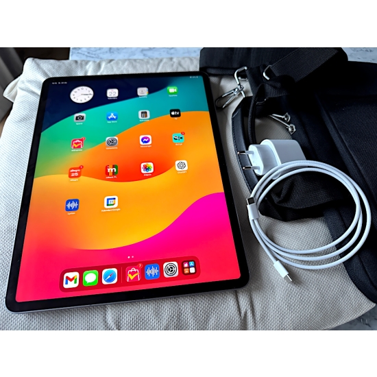 Apple iPad Air 13 M2 256GB WiFi+Cellular 6.gen Gwiezdna Szarość MV6V3HC-A 2024